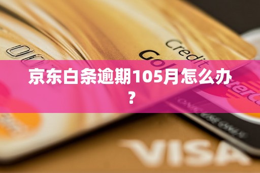 京东白条逾期105月怎么办？