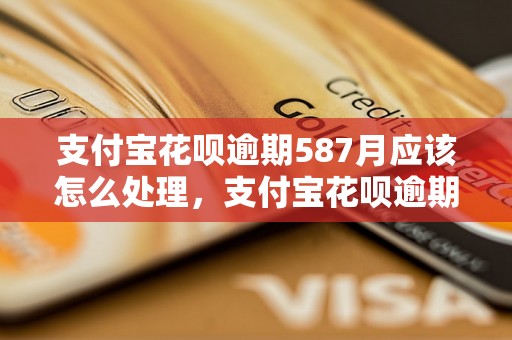 支付宝花呗逾期587月应该怎么处理，支付宝花呗逾期587月会有什么后果