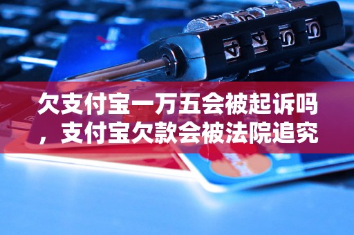 欠支付宝一万五会被起诉吗，支付宝欠款会被法院追究责任吗