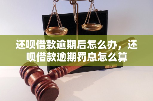 还呗借款逾期后怎么办，还呗借款逾期罚息怎么算