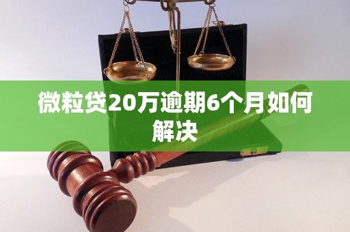 微粒贷20万逾期6个月如何解决