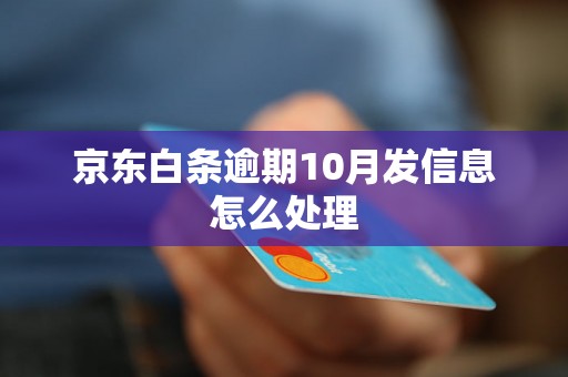 京东白条逾期10月发信息怎么处理