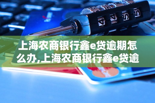上海农商银行鑫e贷逾期怎么办,上海农商银行鑫e贷逾期会有什么影响