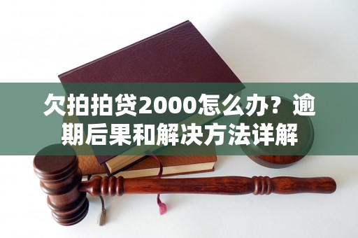 欠拍拍贷2000怎么办？逾期后果和解决方法详解