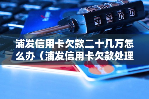 浦发信用卡欠款二十几万怎么办（浦发信用卡欠款处理方法）