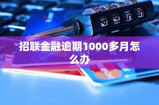 招联金融逾期1000多月怎么办