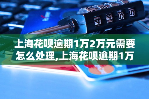 上海花呗逾期1万2万元需要怎么处理,上海花呗逾期1万2万元如何解决