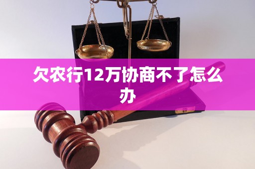 欠农行12万协商不了怎么办