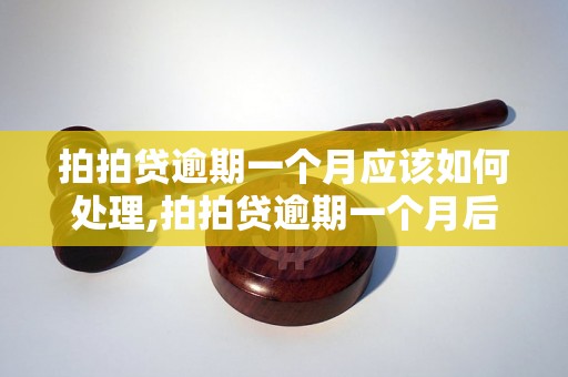 拍拍贷逾期一个月应该如何处理,拍拍贷逾期一个月后的处置方法