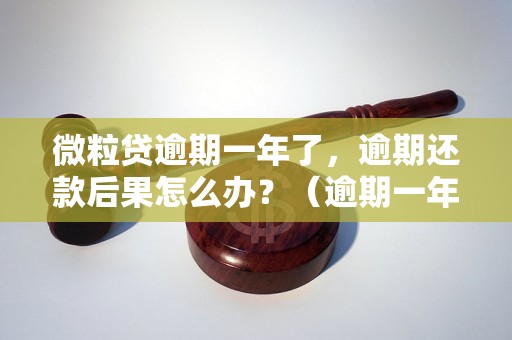 微粒贷逾期一年了，逾期还款后果怎么办？（逾期一年后的处理方式）