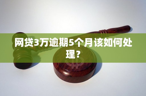 网贷3万逾期5个月该如何处理？