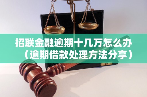 招联金融逾期十几万怎么办（逾期借款处理方法分享）