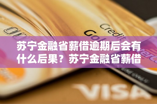 苏宁金融省薪借逾期后会有什么后果？苏宁金融省薪借逾期处理流程