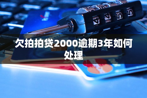 欠拍拍贷2000逾期3年如何处理