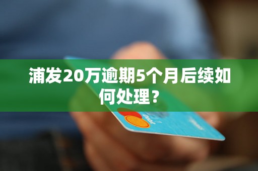 浦发20万逾期5个月后续如何处理？