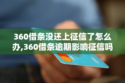 360借条没还上征信了怎么办,360借条逾期影响征信吗