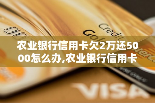 农业银行信用卡欠2万还5000怎么办,农业银行信用卡欠款还款攻略