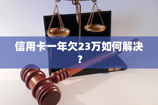 信用卡一年欠23万如何解决？