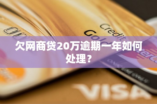 欠网商贷20万逾期一年如何处理？