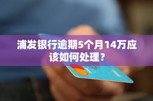 浦发银行逾期5个月14万应该如何处理？