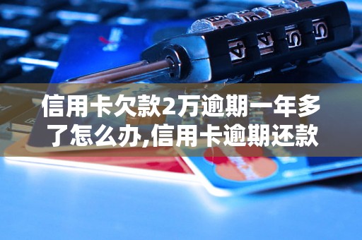 信用卡欠款2万逾期一年多了怎么办,信用卡逾期还款后果及解决方法