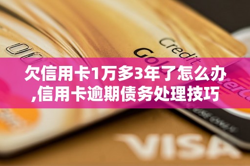 欠信用卡1万多3年了怎么办,信用卡逾期债务处理技巧