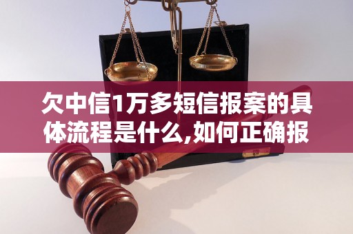 欠中信1万多短信报案的具体流程是什么,如何正确报案？