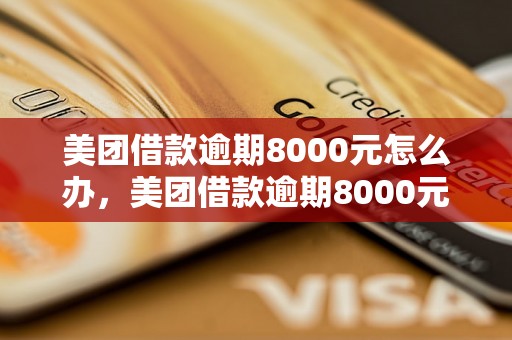 美团借款逾期8000元怎么办，美团借款逾期8000元后果严重吗