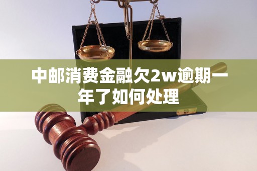 中邮消费金融欠2w逾期一年了如何处理