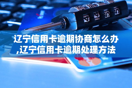 辽宁信用卡逾期协商怎么办,辽宁信用卡逾期处理方法详解