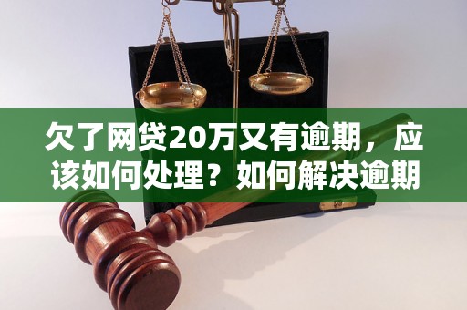 欠了网贷20万又有逾期，应该如何处理？如何解决逾期问题？