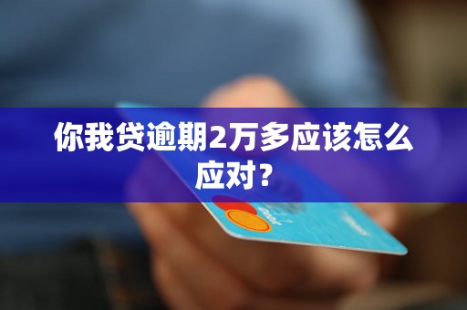 你我贷逾期2万多应该怎么应对？