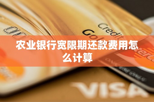 农业银行宽限期还款费用怎么计算