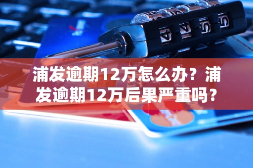 浦发逾期12万怎么办？浦发逾期12万后果严重吗？