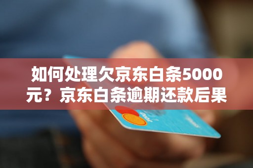 如何处理欠京东白条5000元？京东白条逾期还款后果详解