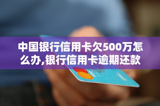 中国银行信用卡欠500万怎么办,银行信用卡逾期还款处理方式