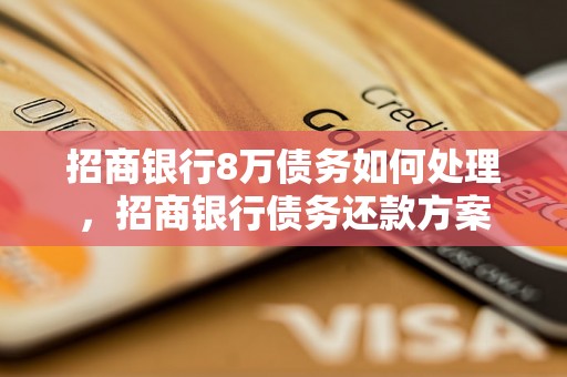 招商银行8万债务如何处理，招商银行债务还款方案