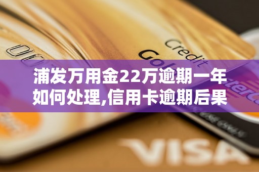 浦发万用金22万逾期一年如何处理,信用卡逾期后果及解决方法