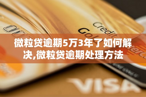 微粒贷逾期5万3年了如何解决,微粒贷逾期处理方法