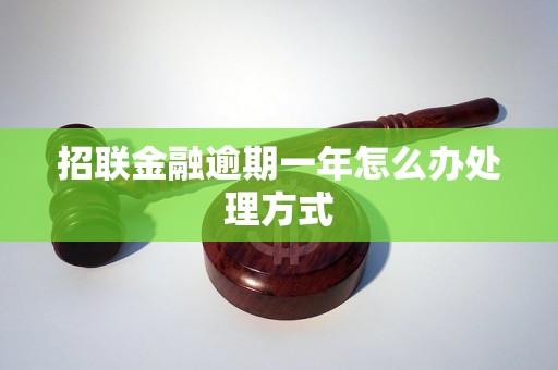 招联金融逾期一年怎么办处理方式