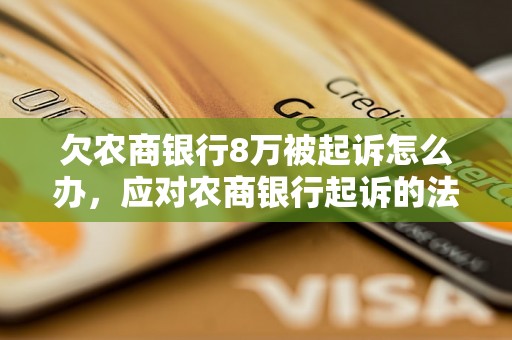 欠农商银行8万被起诉怎么办，应对农商银行起诉的法律途径