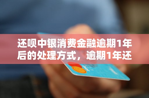 还呗中银消费金融逾期1年后的处理方式，逾期1年还呗中银消费金融后果