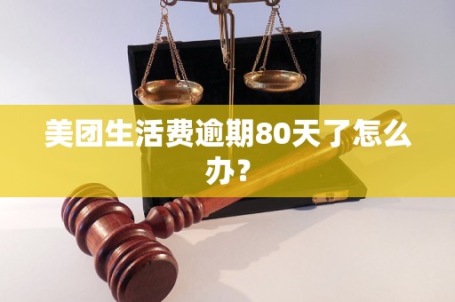 美团生活费逾期80天了怎么办？