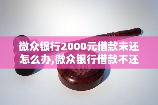 微众银行2000元借款未还怎么办,微众银行借款不还后果