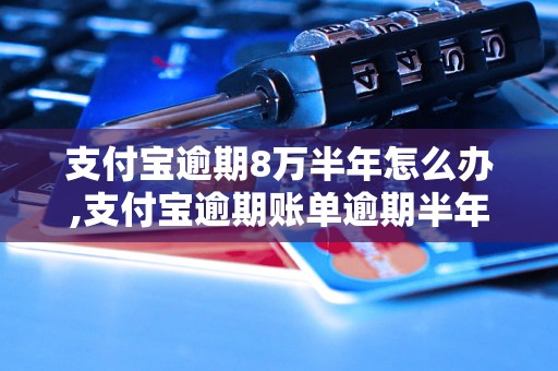 支付宝逾期8万半年怎么办,支付宝逾期账单逾期半年如何处理