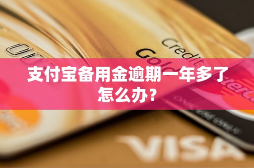 支付宝备用金逾期一年多了怎么办？