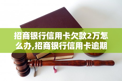 招商银行信用卡欠款2万怎么办,招商银行信用卡逾期还款处理建议