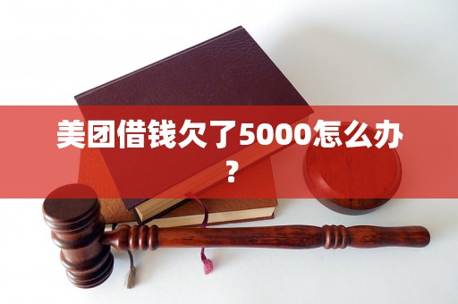 美团借钱欠了5000怎么办？