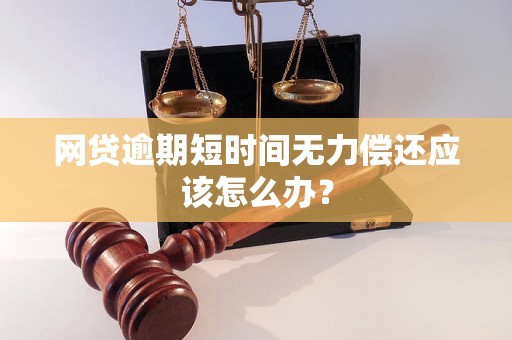 网贷逾期短时间无力偿还应该怎么办？