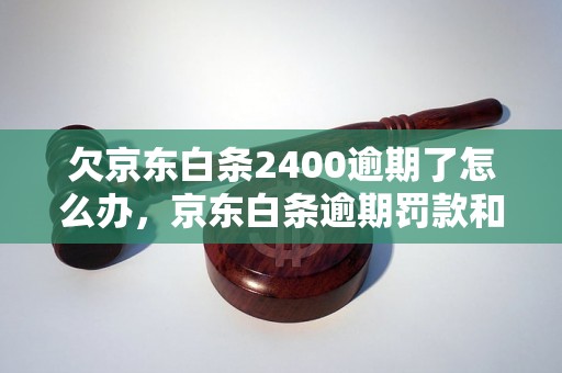 欠京东白条2400逾期了怎么办，京东白条逾期罚款和处理方式